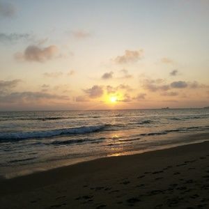 Meet your Posher, Eva